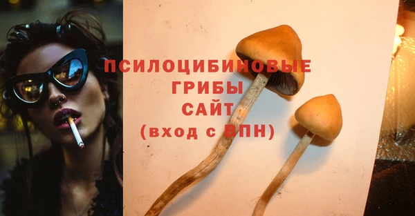 герыч Алексин