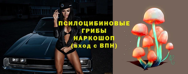 ПСИЛОЦИБИНОВЫЕ ГРИБЫ Сатка