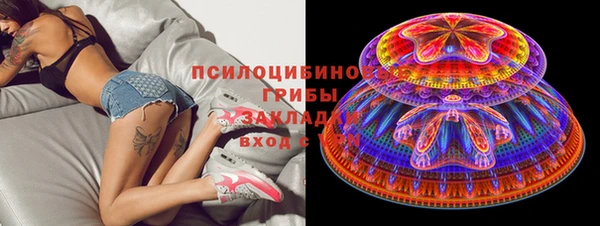 круглые Абаза