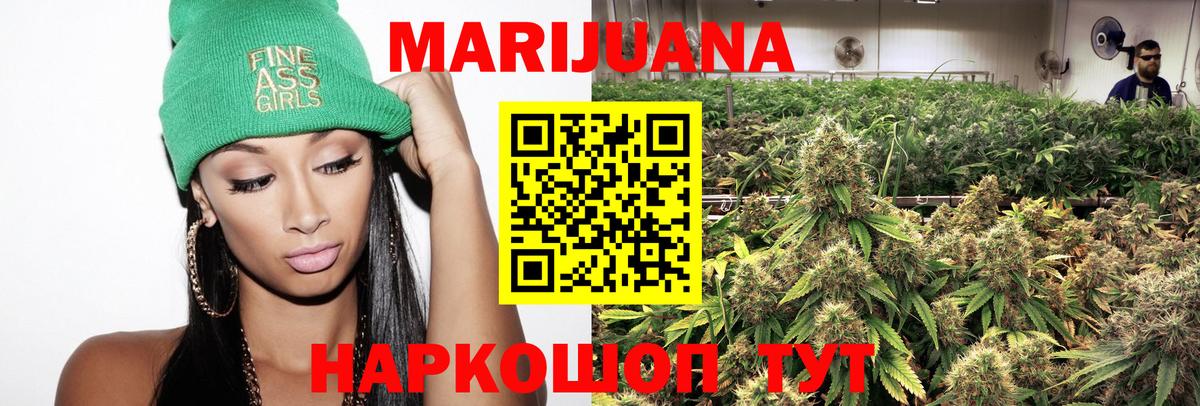 Бошки Шишки план Карасук